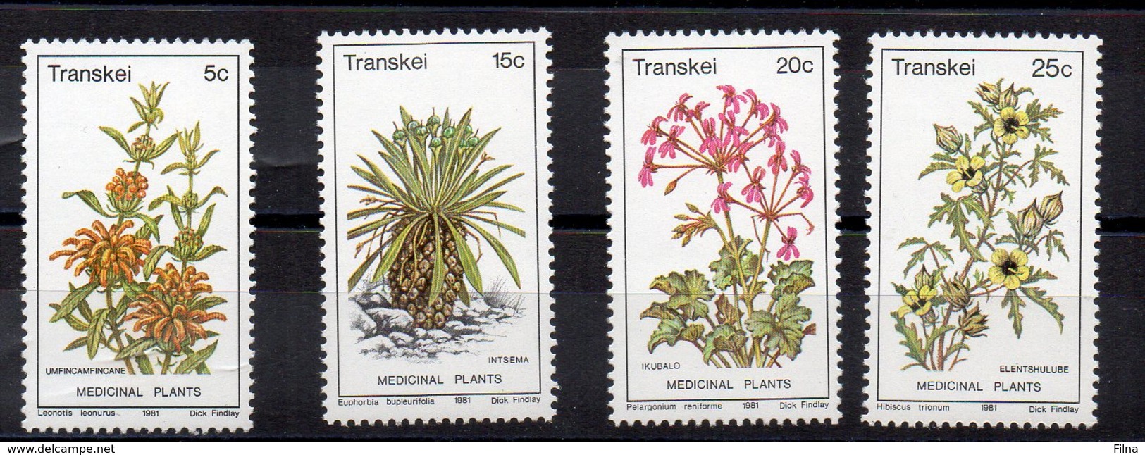 TRANSKEI 1981 - FLORA - PIANTE - SERIE COMPLETA  - MNH** - Transkei