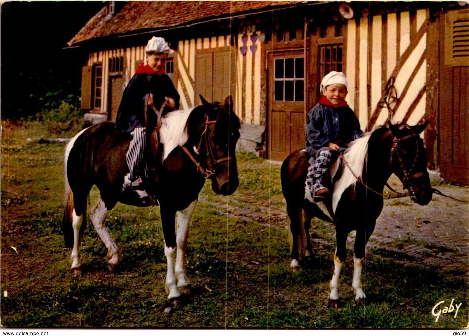 CHEVAL / CHEVAUX    /  LOT 223 - Chevaux