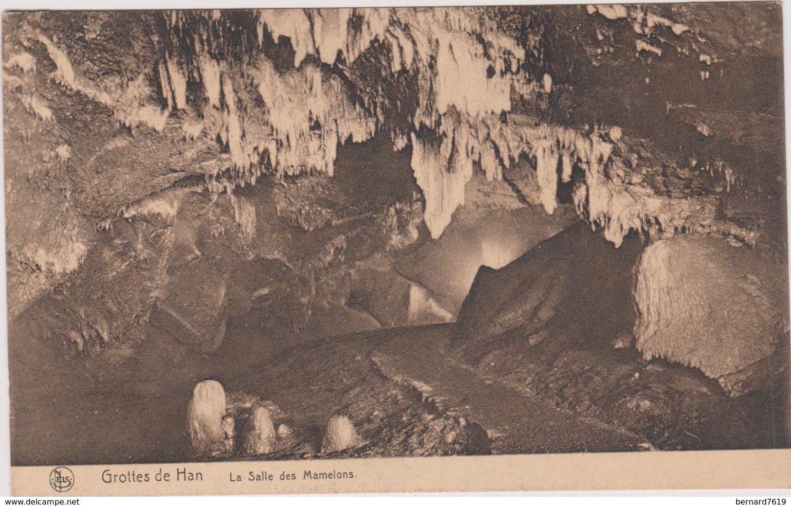 Belgique Grotte De Han  La Salle Des Mamelons - La Bruyère