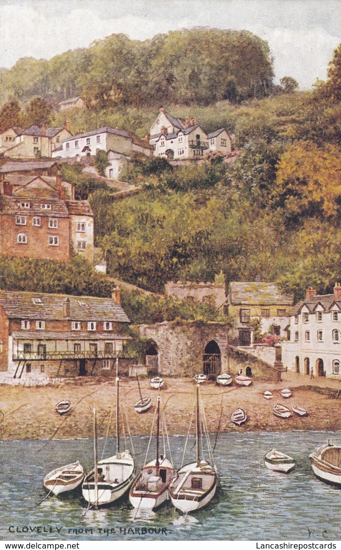 Postcard Clovelly From The Harbour [ Salmon ]  My Ref  B12216 - Clovelly