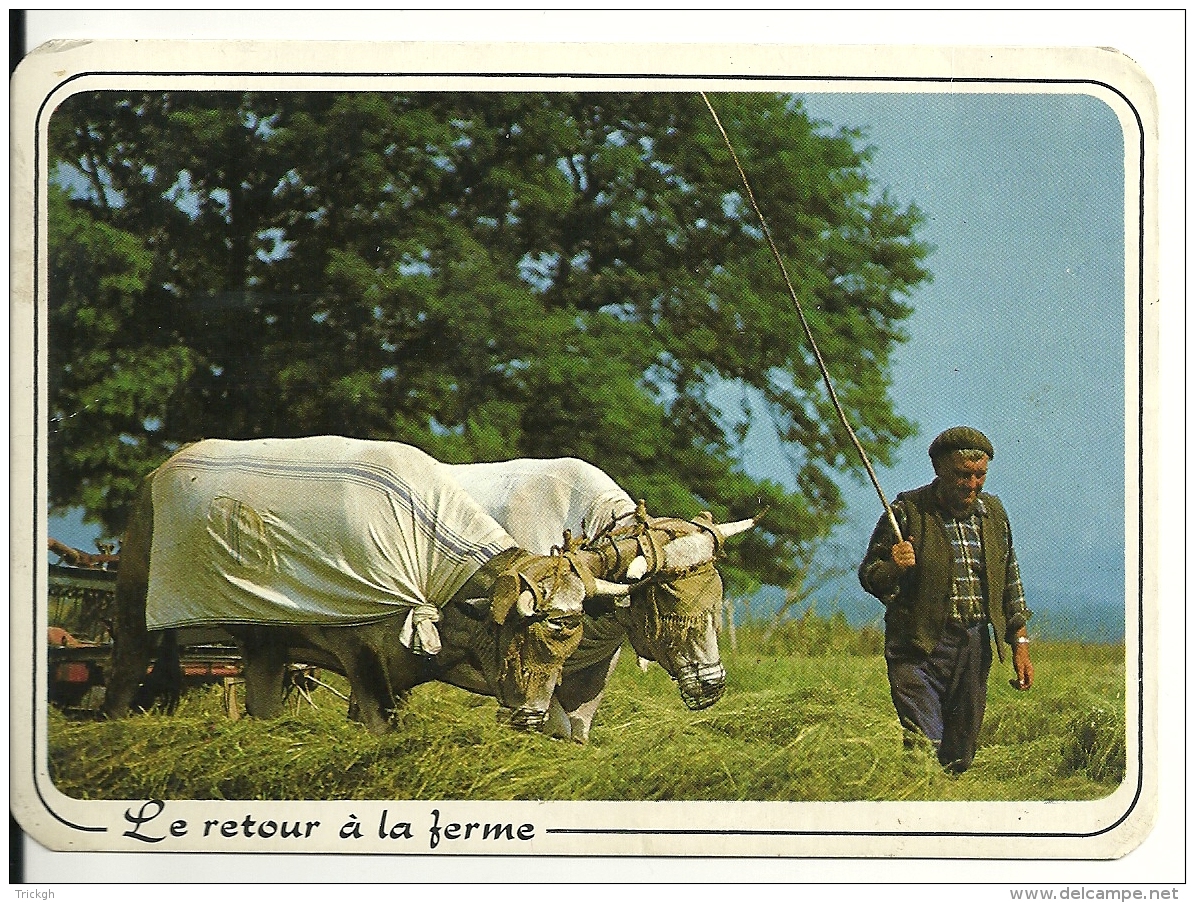 Le Retour à La Ferme - Attelages