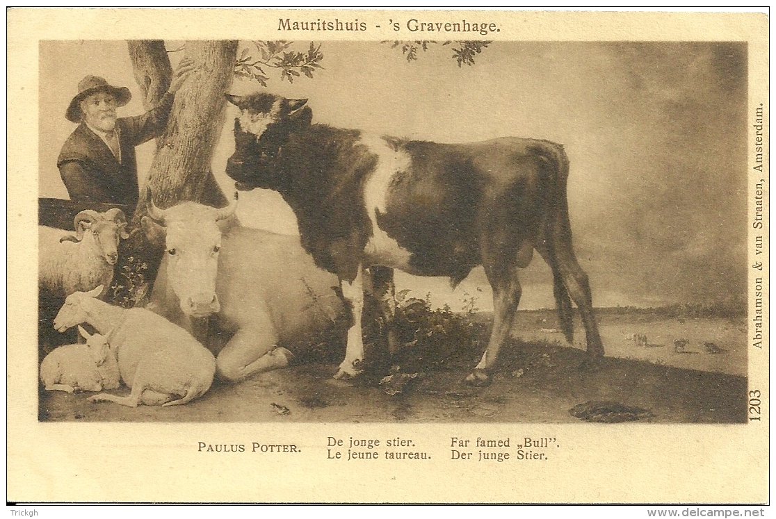 's Gravenhage Mauritshuis Paulus Potter / Taureau Stier Bull - Vaches