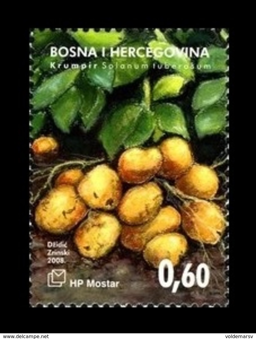 Bosnia And Herzegovina (Croatian) 2008 Mih. 241 Flora. Vegetables. Potato MNH ** - Bosnia And Herzegovina