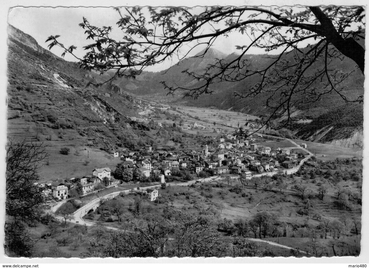 LA  BOLLINE-VALDEBLORE      VUE  GENERALE       (VIAGGIATA) - Otros & Sin Clasificación