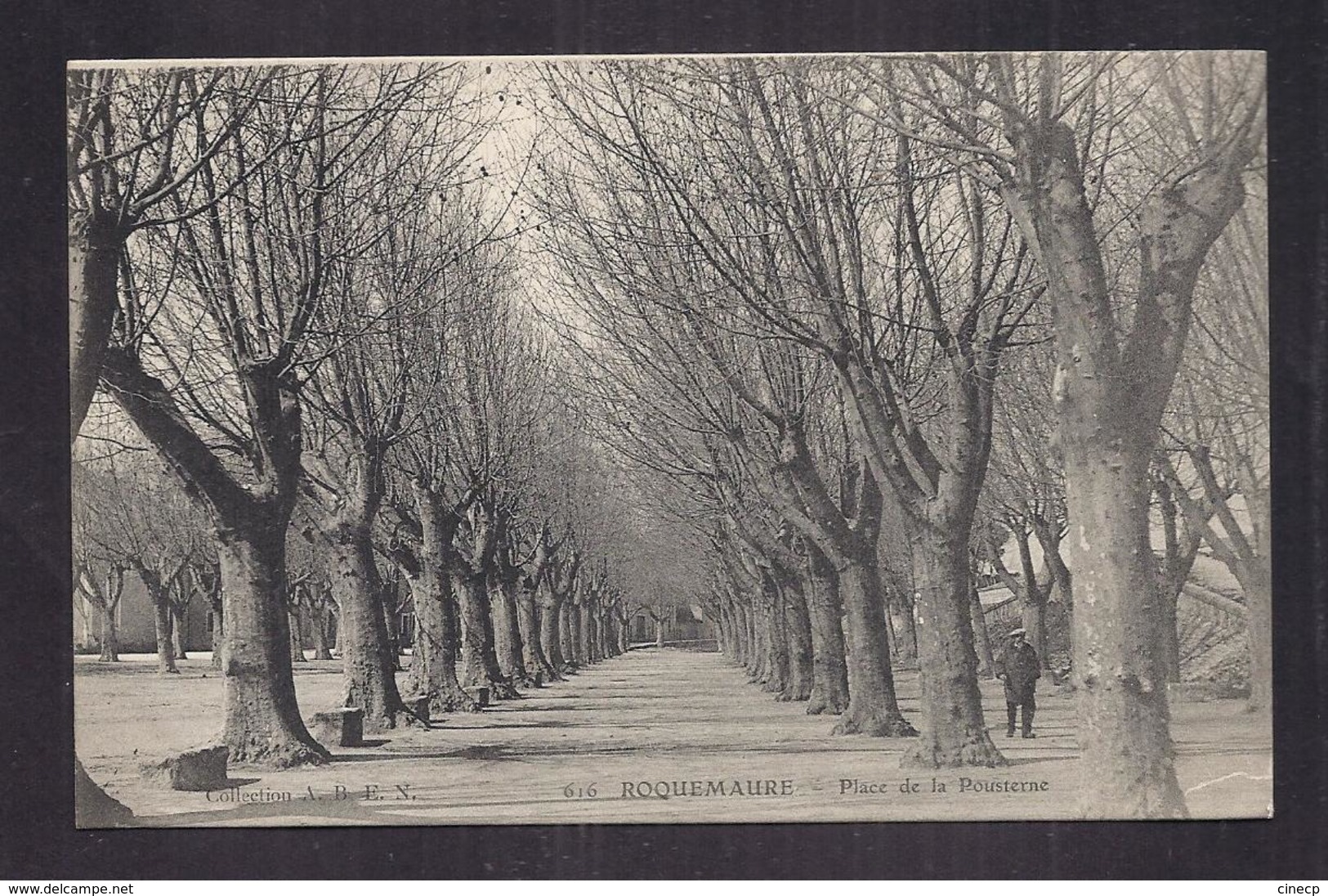 CPA 30 - ROQUEMAURE - Place De La Pousterne - TB PLAN Allée De Platanes - Petite Animation - Roquemaure