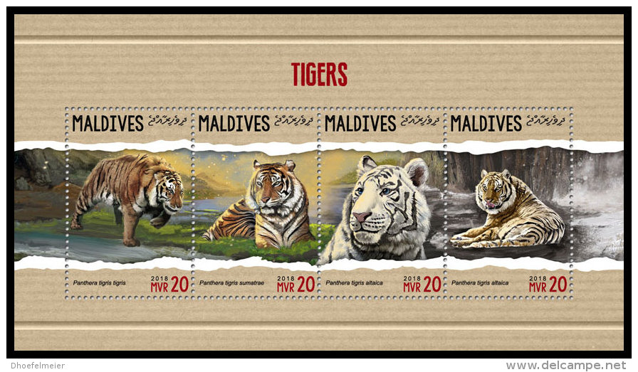 MALDIVES 2018 MNH** Tigers Tiger Tigres Raubkatzen M/S - IMPERFORATED - DH1818 - Raubkatzen