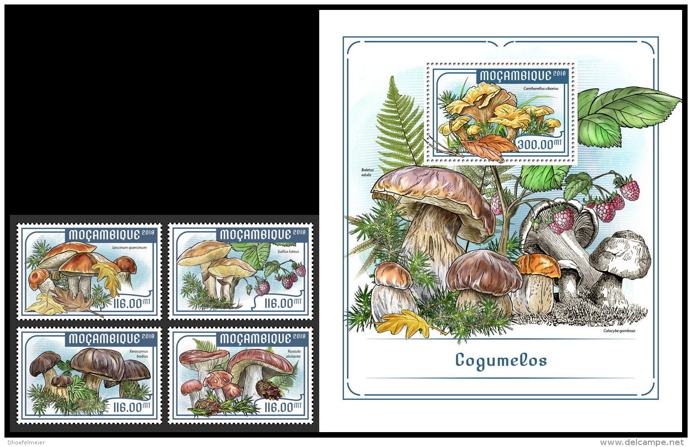 MOZAMBIQUE 2018 MNH** Mushrooms Pilze Champignons 4v+S/S - OFFICIAL ISSUE - DH1818 - Pilze