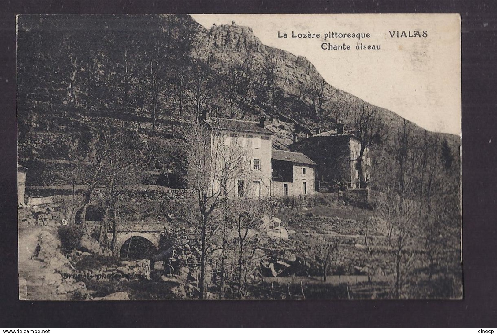 CPA 48 - VIALAS - Chante Oiseau - TB PLAN Château Et Groupe De Maisons - La Lozère Pittoresque - Autres & Non Classés