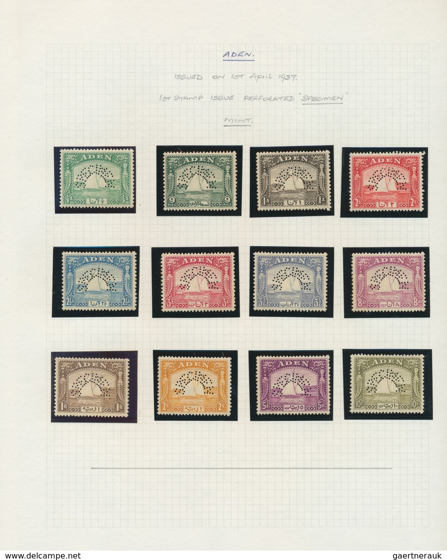 22006 Aden: 1937/1951, Specialised Collection On Written Up Album Pages, Incl. 1937 Definitives Mint, Used - Jemen