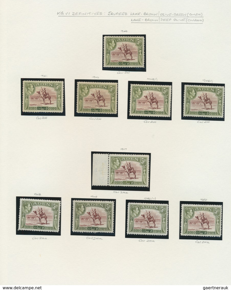 22006 Aden: 1937/1951, Specialised Collection On Written Up Album Pages, Incl. 1937 Definitives Mint, Used - Yemen