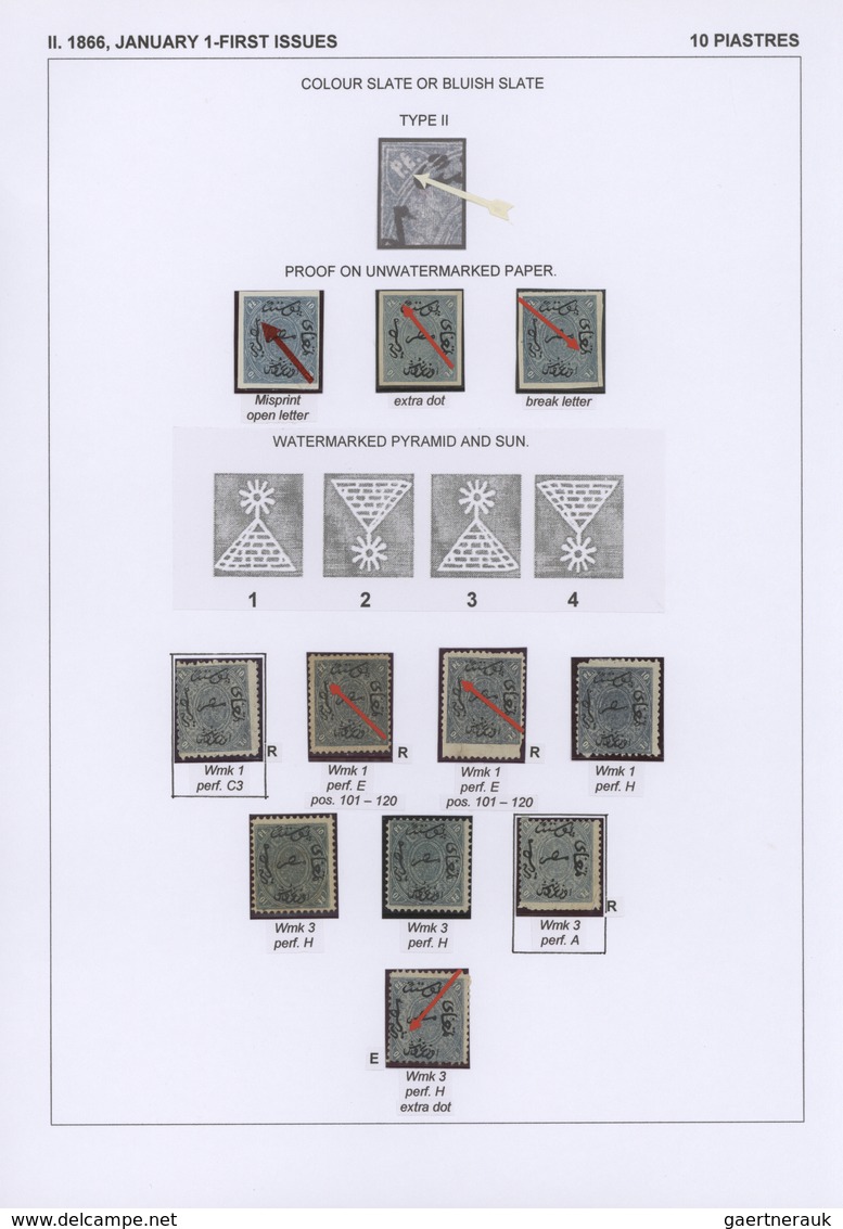 22091 Ägypten: 1704-1879, Specialized collection of stamps and covers well written up on pages and housed