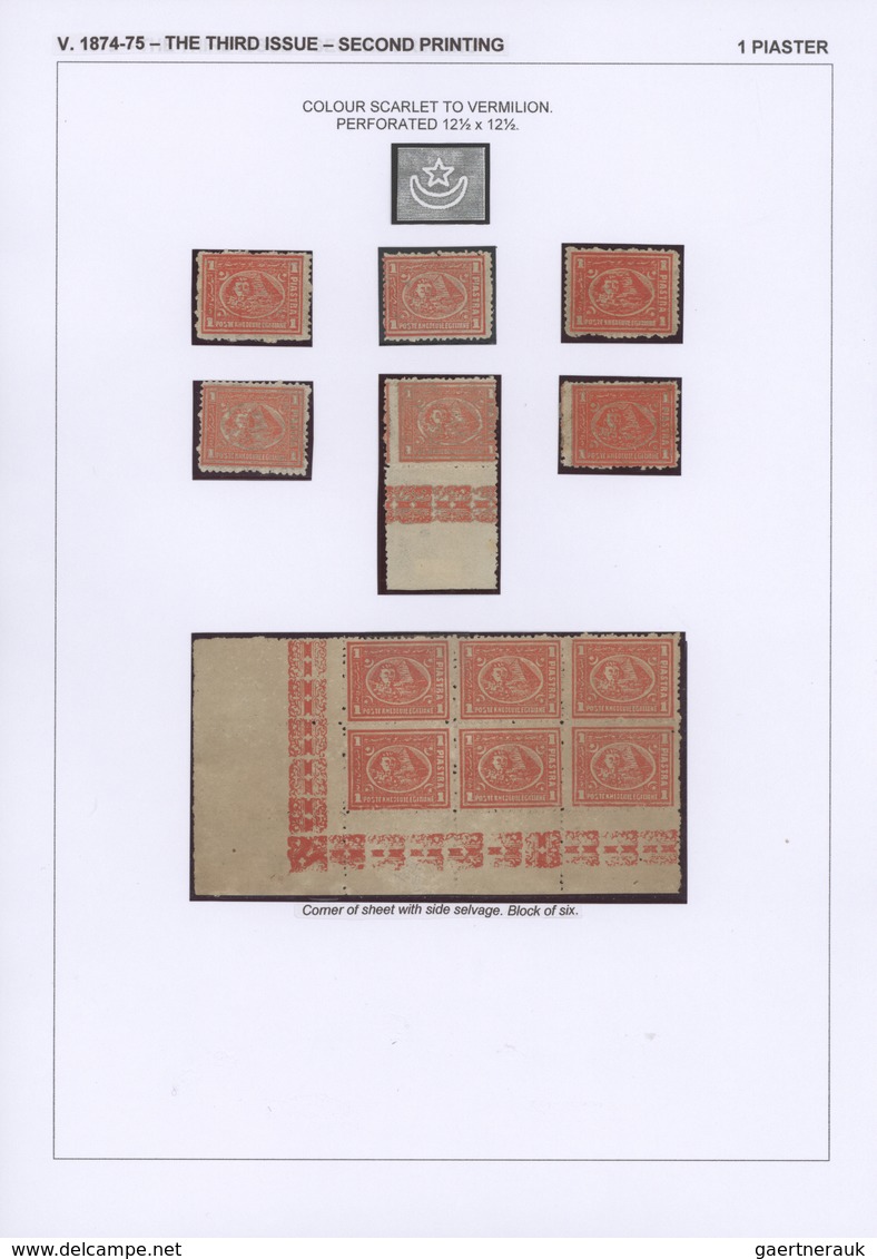 22091 Ägypten: 1704-1879, Specialized collection of stamps and covers well written up on pages and housed