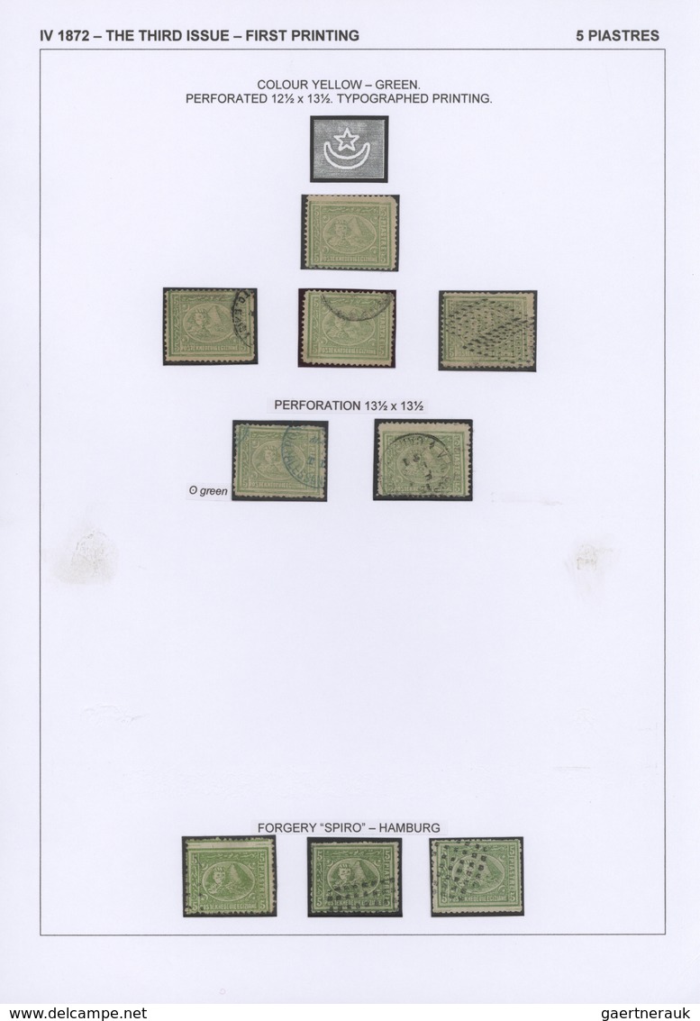 22091 Ägypten: 1704-1879, Specialized collection of stamps and covers well written up on pages and housed