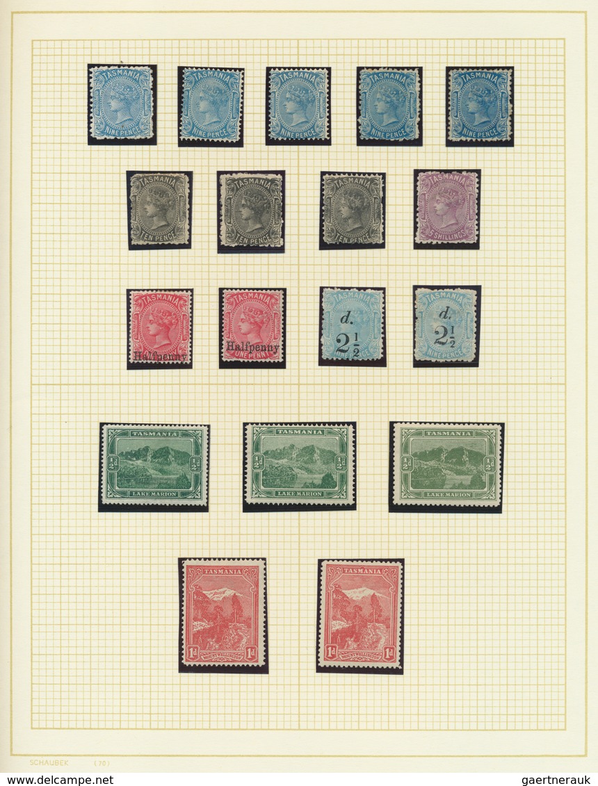 22210 Tasmanien: 1855/1910 (ca.), A Lovely Mint Collection Of 79 Stamps, Neatly Arranged On Album Pages, C - Lettres & Documents