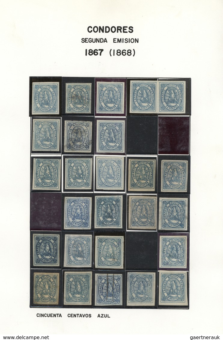 22273 Bolivien: 1867/1868, CONDOR ISSUES, specialised collection of apprx. 1.460 stamps arranged on album