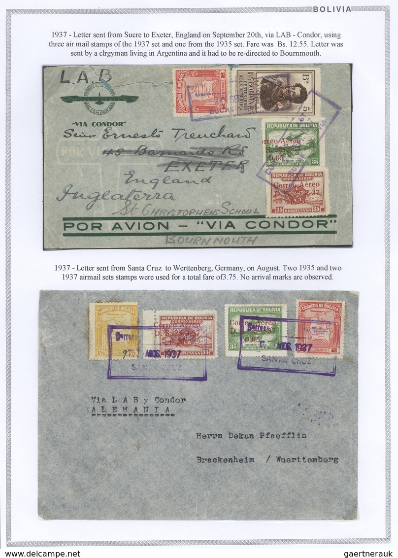 22279 Bolivien: 1923/37 - BOLIVIA AIR MAIL: A magnificent study of the evolution of air mail in Bolivia, o