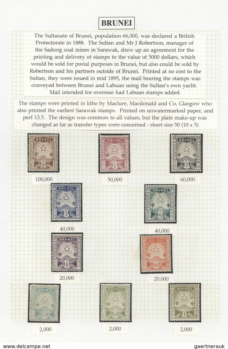 22325 Brunei: 1895, Definitives "Star And Local Scene", Specialised Collection Of 55 Stamps On Album Page - Brunei (1984-...)