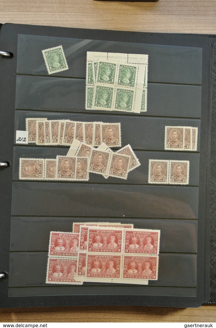 22349 Canada: 1902-1972. Extensive MNH And Mint Hinged Stock Canada 1902-1972 In 4 Stockbooks, Including M - Autres & Non Classés
