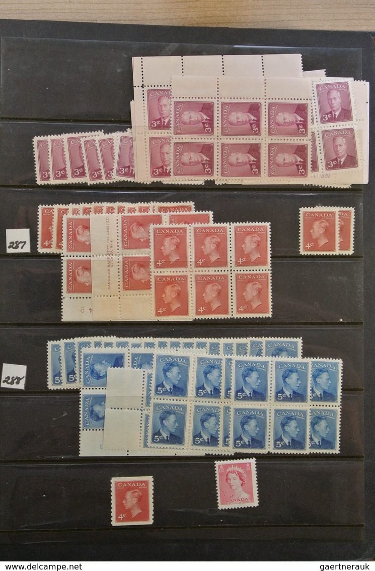 22349 Canada: 1902-1972. Extensive MNH and mint hinged stock Canada 1902-1972 in 4 stockbooks, including m