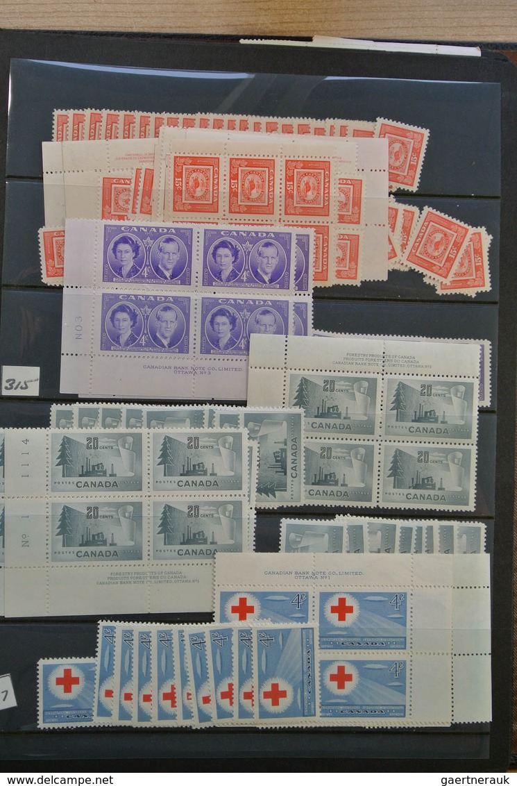 22349 Canada: 1902-1972. Extensive MNH and mint hinged stock Canada 1902-1972 in 4 stockbooks, including m