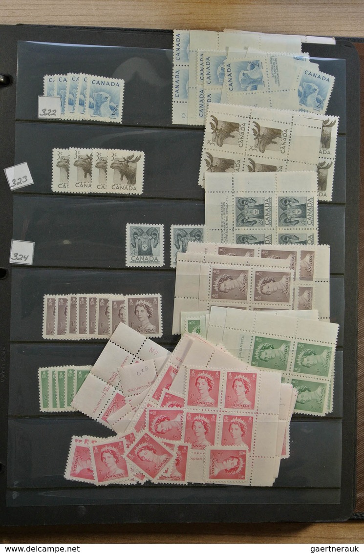 22349 Canada: 1902-1972. Extensive MNH and mint hinged stock Canada 1902-1972 in 4 stockbooks, including m