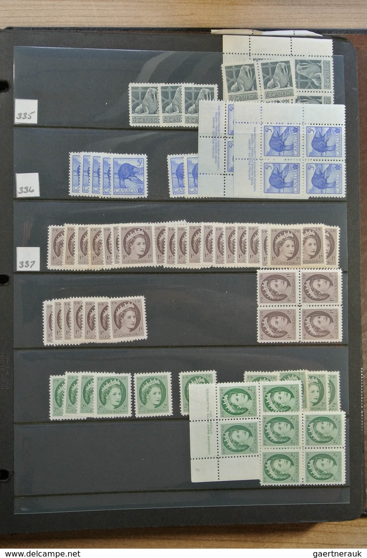 22349 Canada: 1902-1972. Extensive MNH and mint hinged stock Canada 1902-1972 in 4 stockbooks, including m