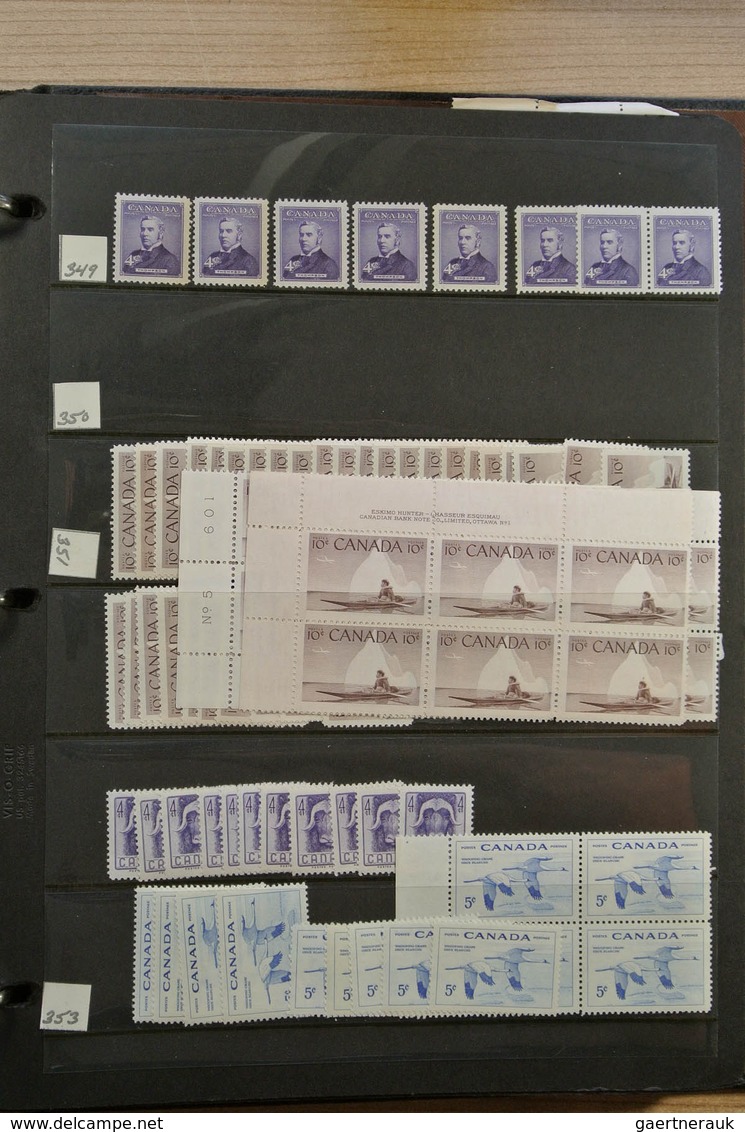 22349 Canada: 1902-1972. Extensive MNH and mint hinged stock Canada 1902-1972 in 4 stockbooks, including m