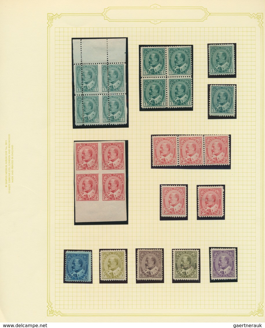 22350 Canada: 1903/1908, A Petty Mint Collection Of The KEVII Definitives, Some Gum Disturbances But All S - Autres & Non Classés