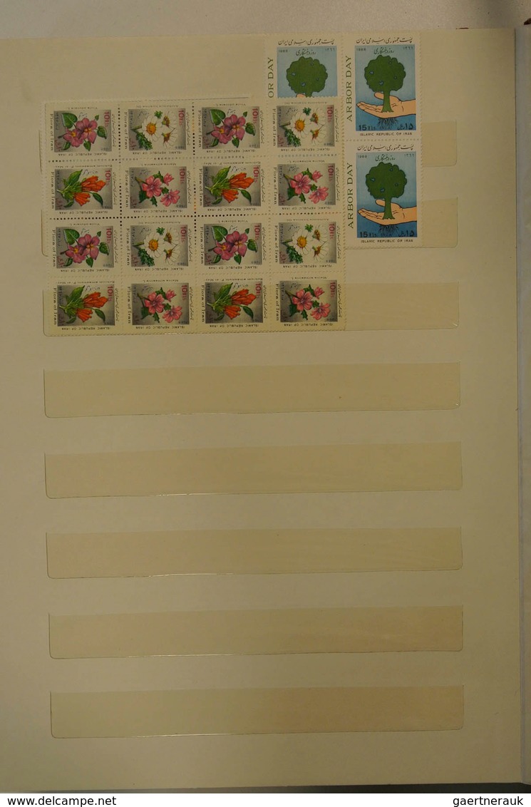 22802 Iran: Stockbook with mostly MNH material of Iran, mostly in blocks of 4.