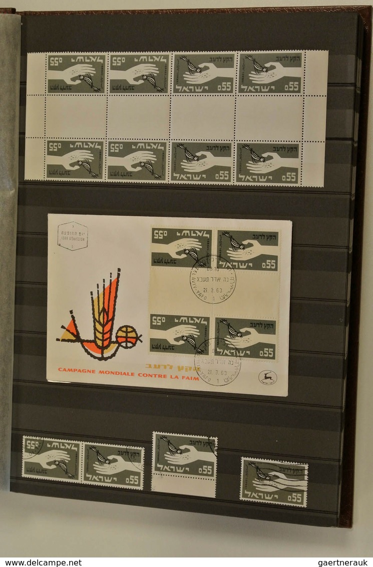 22864 Israel: 1961/65: MNH and used, somewhat specialised collection Israel 1961-1965 in stockbook. Contai