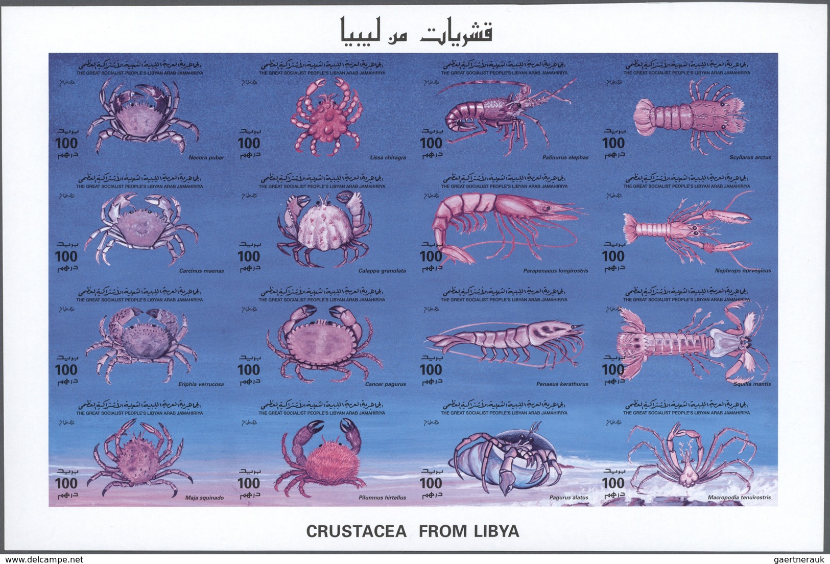 23498 Libyen: 1964/1999, Comprehensive U/m Accumulation In A Binder, Comprising Mainly Se-tenant Sheets An - Libye