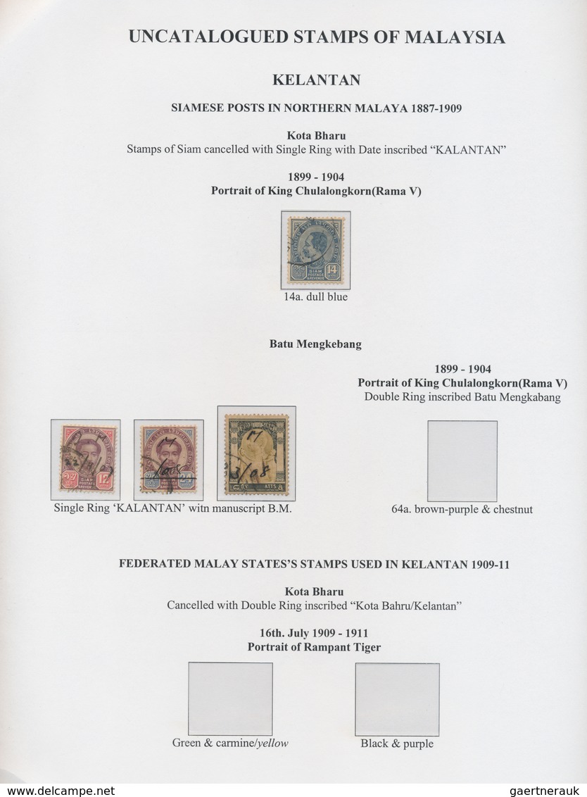 23535 Malaiische Staaten: 1900/1980 (ca.), Mainly Before 1950, Sophisticated Balance On Stocksheets/album - Federated Malay States