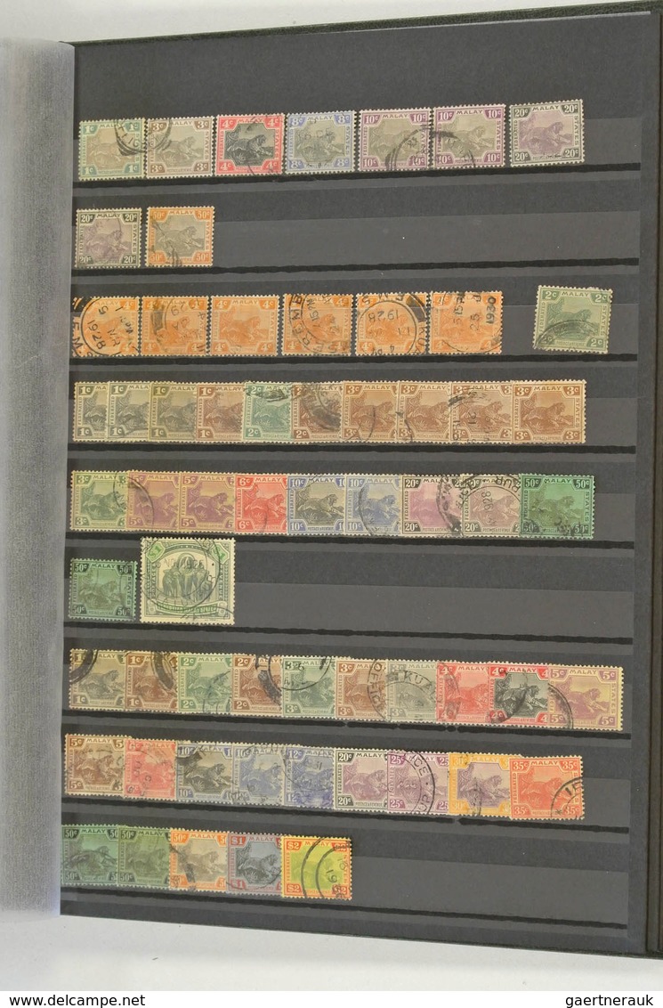 23540 Malaiische Staaten: Accumulation Of Several Hundreds Of Used Stamps Of Malayan States In Stockbook. - Federated Malay States