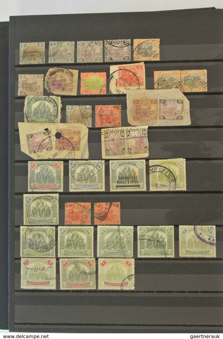 23540 Malaiische Staaten: Accumulation Of Several Hundreds Of Used Stamps Of Malayan States In Stockbook. - Federated Malay States