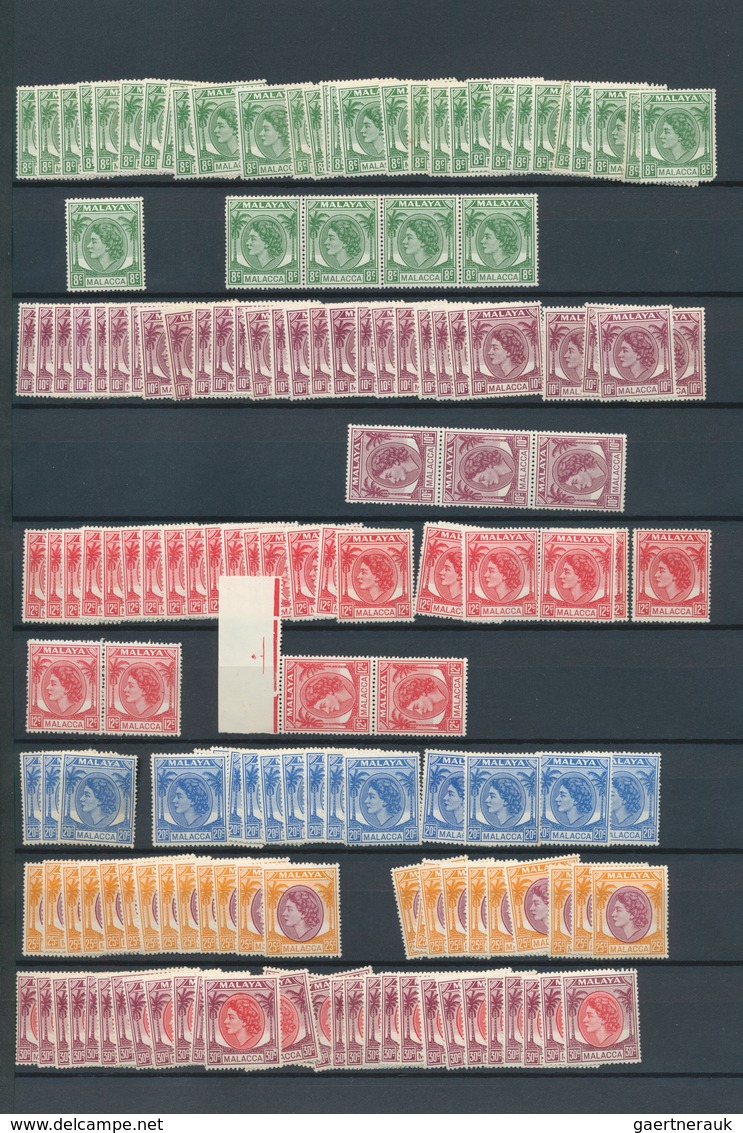 23550 Malaiische Staaten - Malakka: 1948/1960, Mint Accumulation On Stocksheets With Main Value In The KGV - Malacca