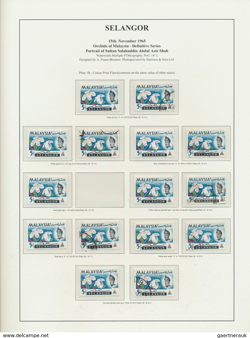 23572 Malaiische Staaten - Selangor: 1965, Orchids, specialised collection of apprx. 2.500 stamps on writt