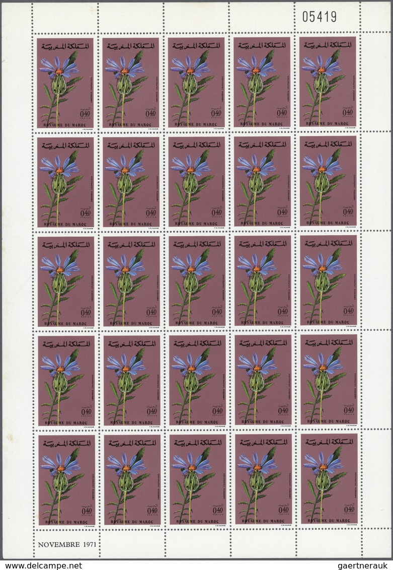 23621 Marokko: 1970/1981, Comprehensive U/m Accumulation Of Large Units, Mainly COMPLETE SHEETS/MINI SHEET - Maroc (1956-...)