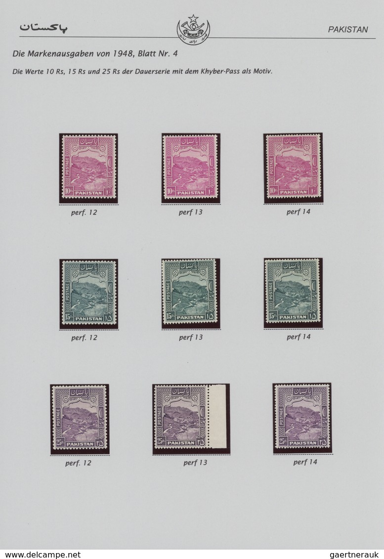 23786 Pakistan: 1846-1971: Comprehensive and specialized collection of both mint and used stamps (more tha