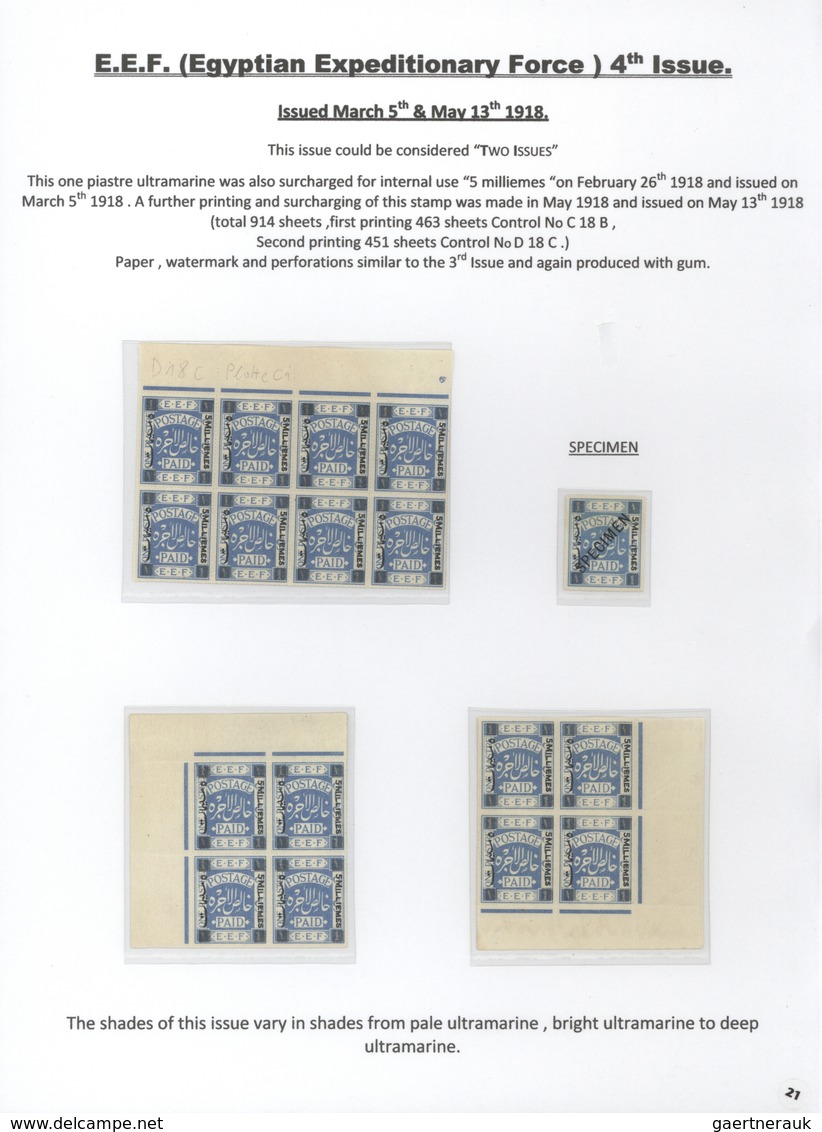 23794 Palästina: 1918-1927, Exhibition Collection "PALESTINE STAMPS & COVERS FROM 1918 - 1927" on 80 leave