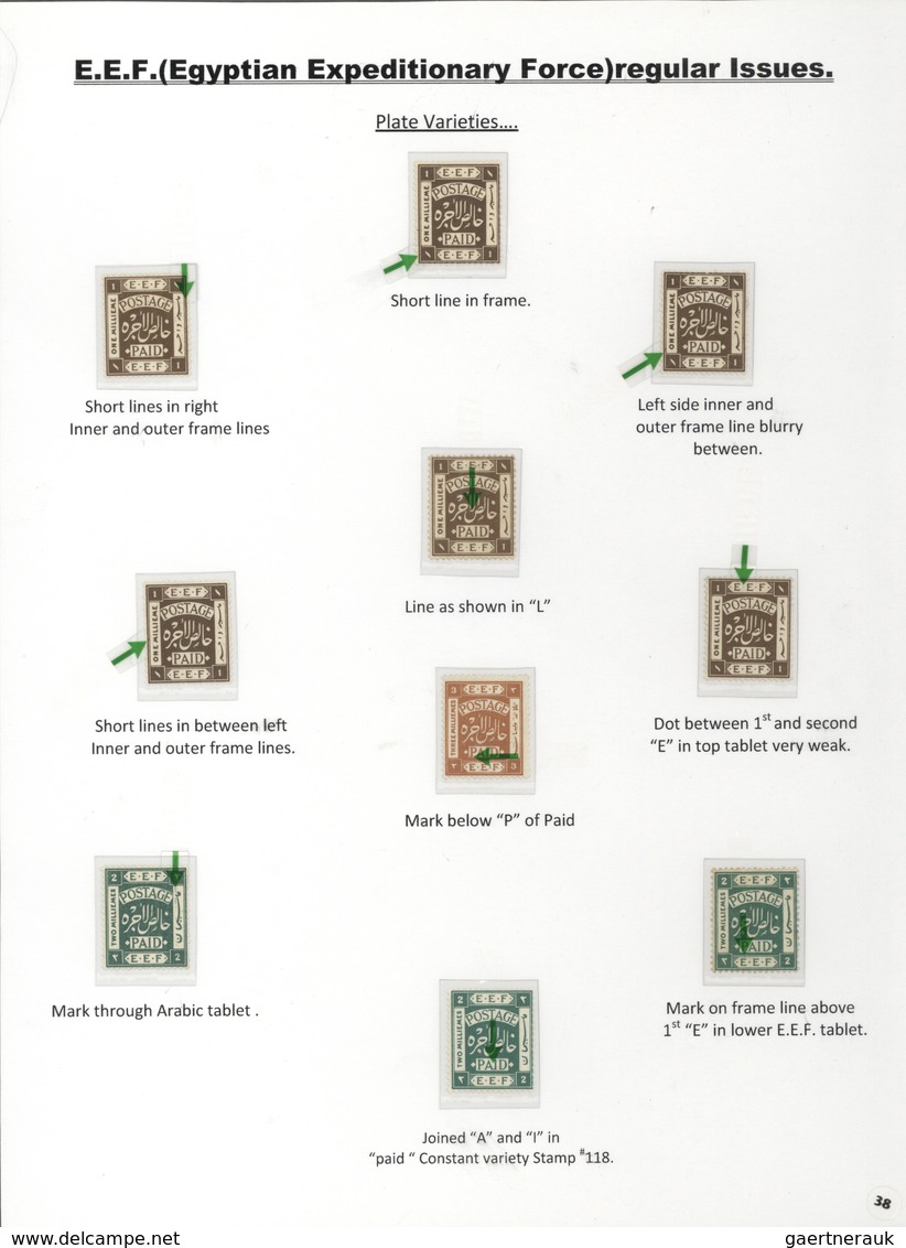 23794 Palästina: 1918-1927, Exhibition Collection "PALESTINE STAMPS & COVERS FROM 1918 - 1927" on 80 leave