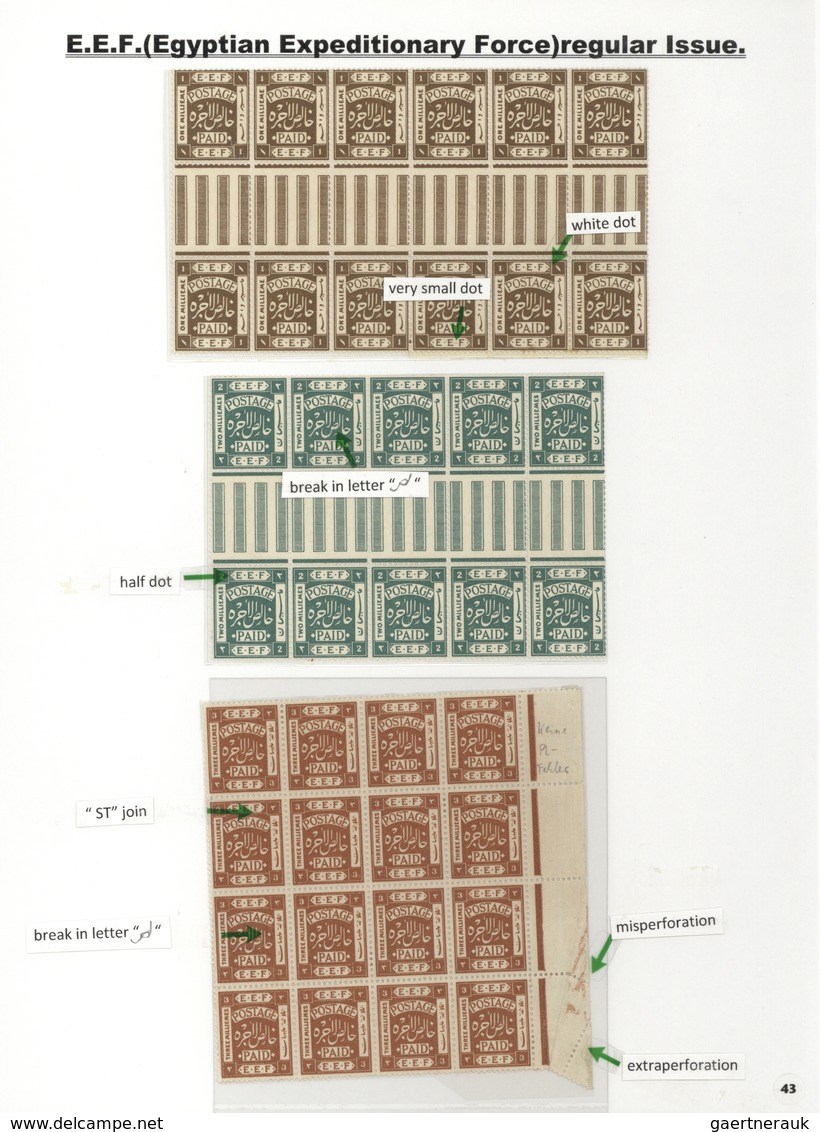 23794 Palästina: 1918-1927, Exhibition Collection "PALESTINE STAMPS & COVERS FROM 1918 - 1927" on 80 leave