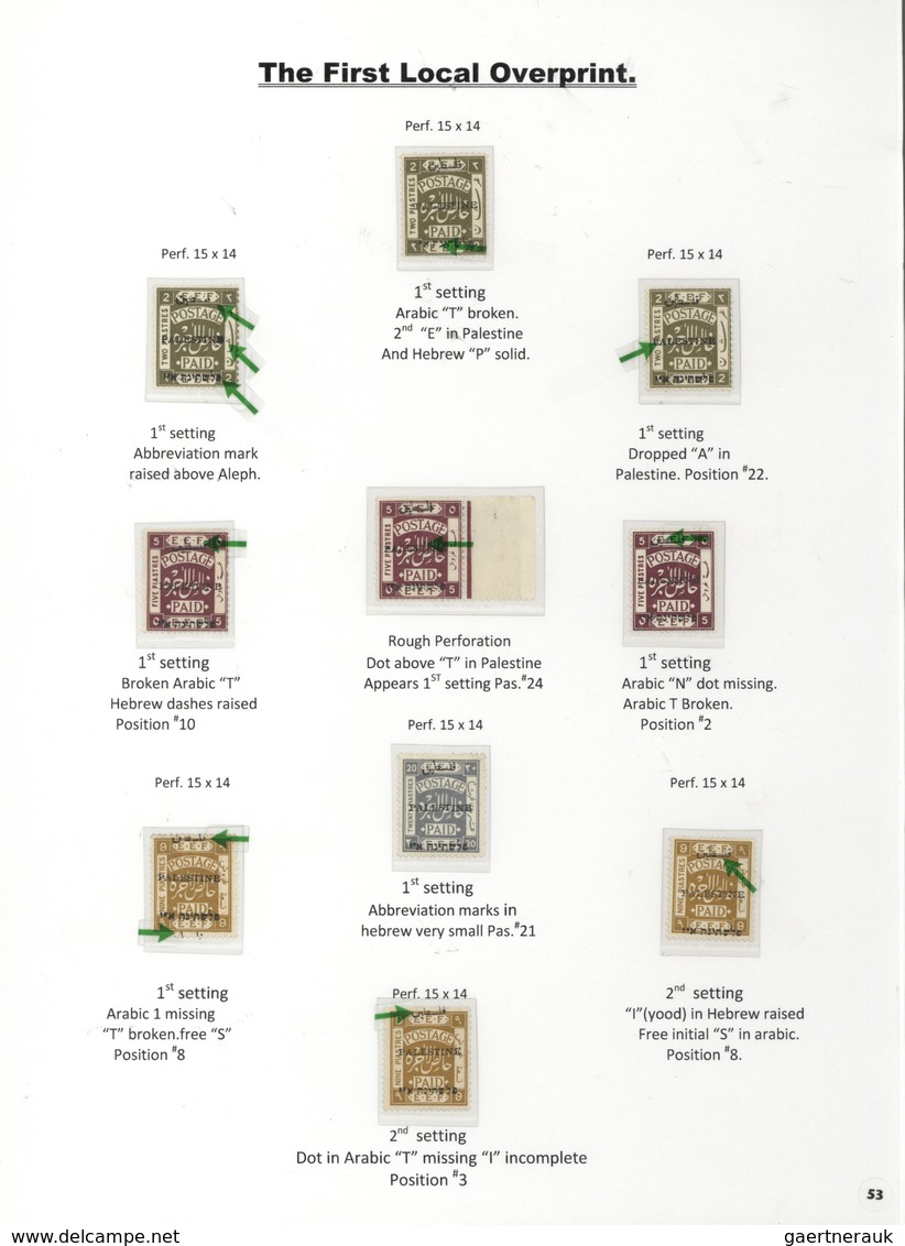 23794 Palästina: 1918-1927, Exhibition Collection "PALESTINE STAMPS & COVERS FROM 1918 - 1927" on 80 leave