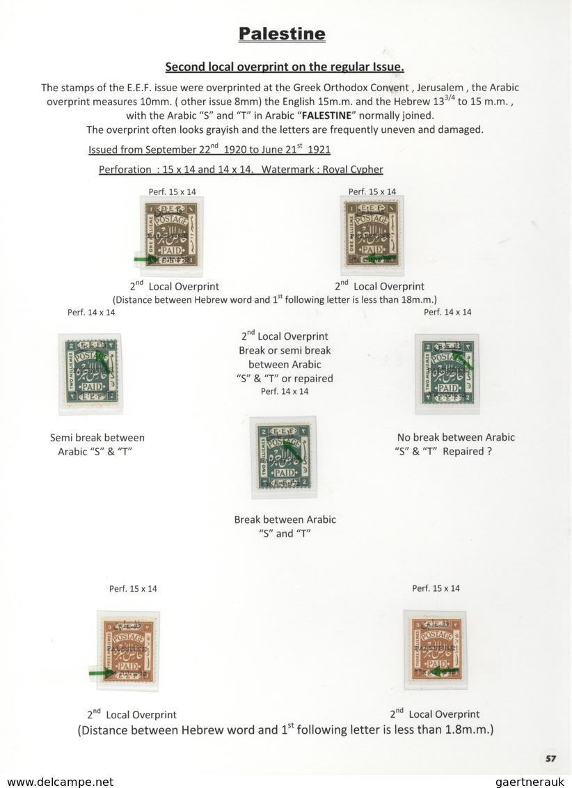 23794 Palästina: 1918-1927, Exhibition Collection "PALESTINE STAMPS & COVERS FROM 1918 - 1927" on 80 leave