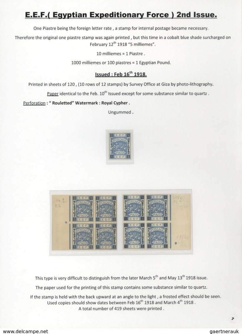 23794 Palästina: 1918-1927, Exhibition Collection "PALESTINE STAMPS & COVERS FROM 1918 - 1927" on 80 leave