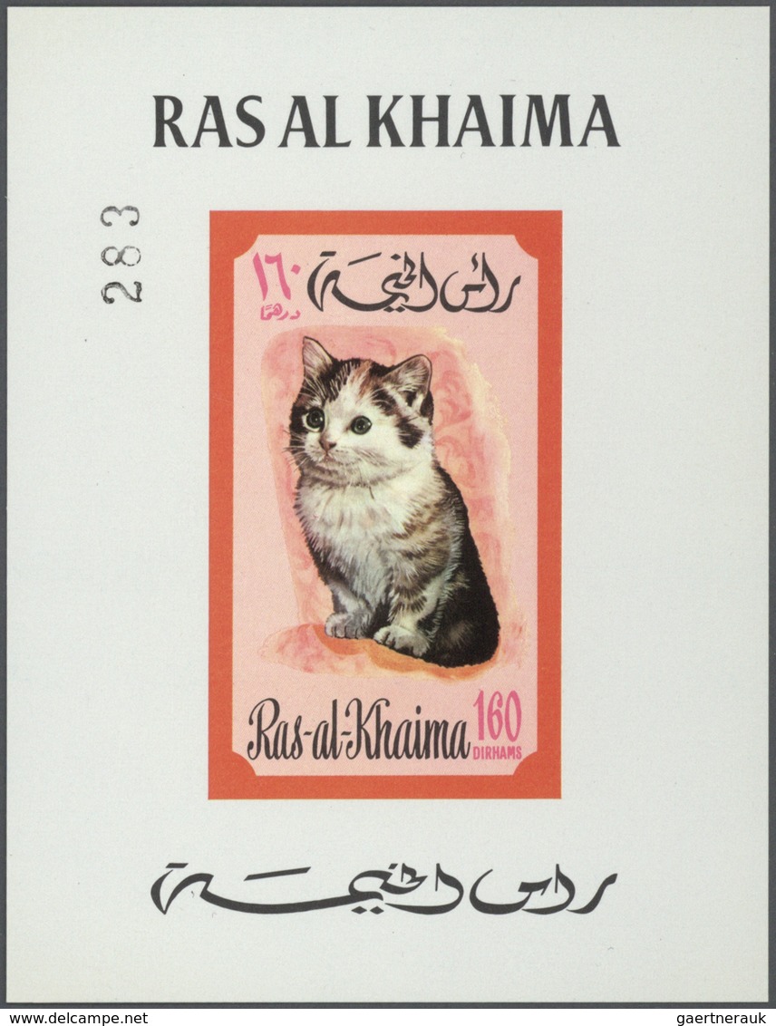 23899 Ras al Khaima: 1970/1971, u/m collection in a thick stockbook with attractive thematic issues like C