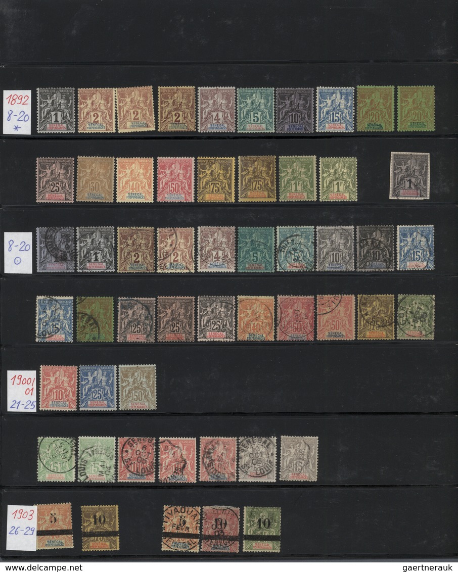 24044 Senegal: 1865/1910 (ca.), Mint And Used Collection On Stockpages, From Some General Issues With Bett - Sénégal (1960-...)