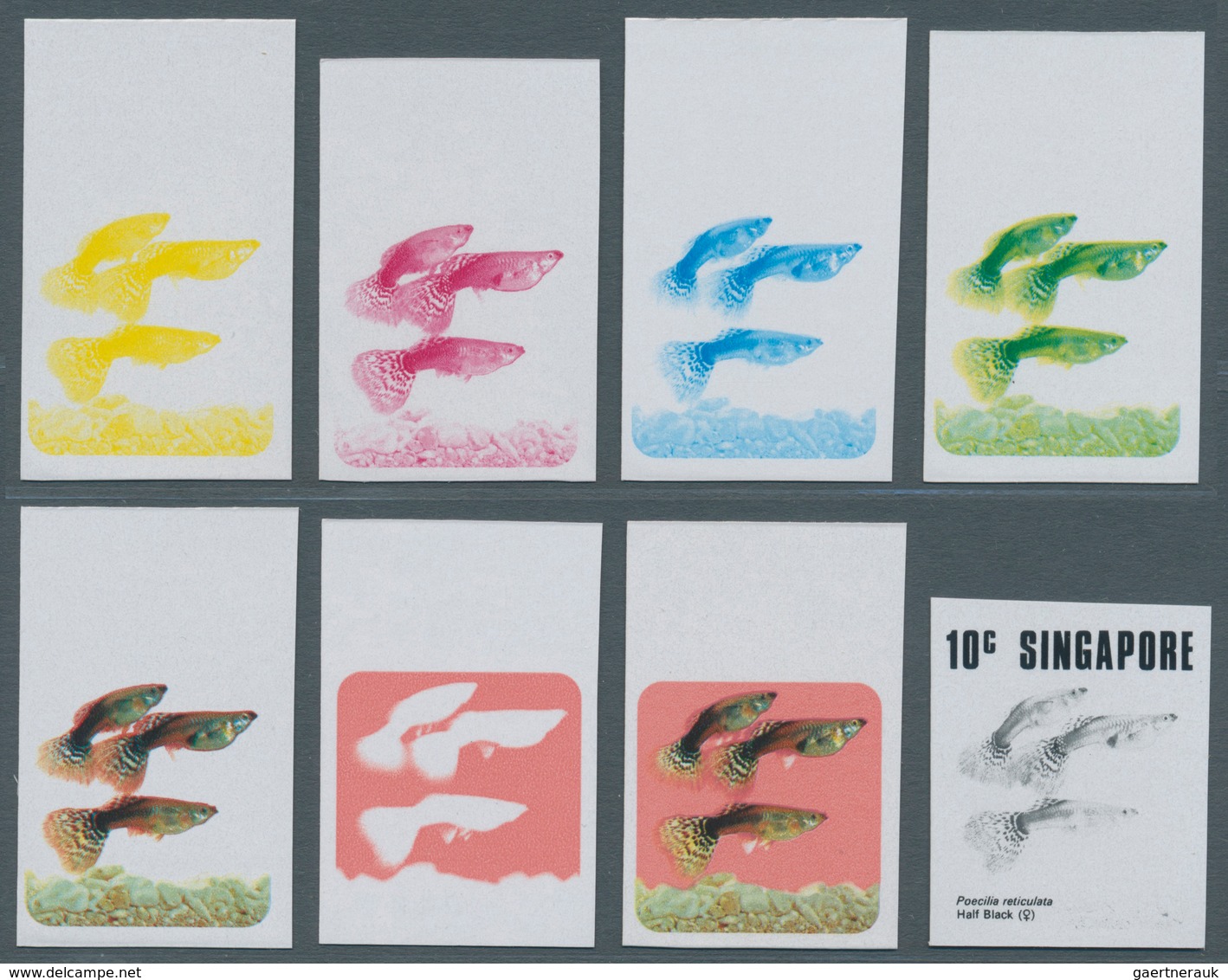 24067 Singapur: 1973/75, Sammlung Von PHASENDRUCKEN Nur Verschiedener Und Kompletter Ausgaben, Dabei Sind: - Singapour (...-1959)