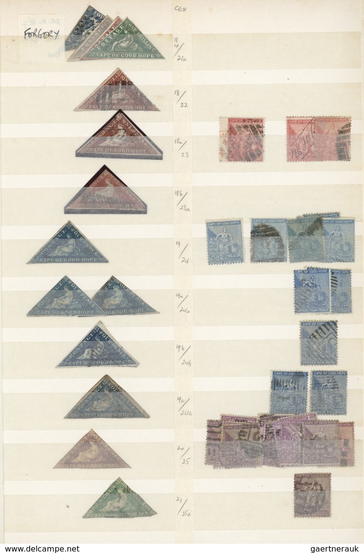 24109 Kap Der Guten Hoffnung: 1853/1902, Used And Mint Accumulation On Stockpages, From Apprx. 45 Copies T - Cap De Bonne Espérance (1853-1904)