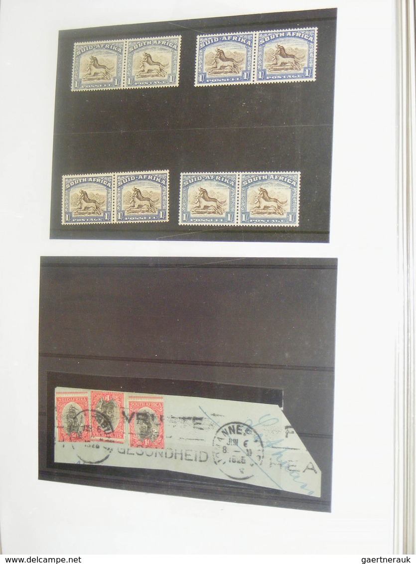 24128 Südafrika: 1913/99: Slightly messy, MNH, mint hinged and used collection South Africa 1913-1999 in 2