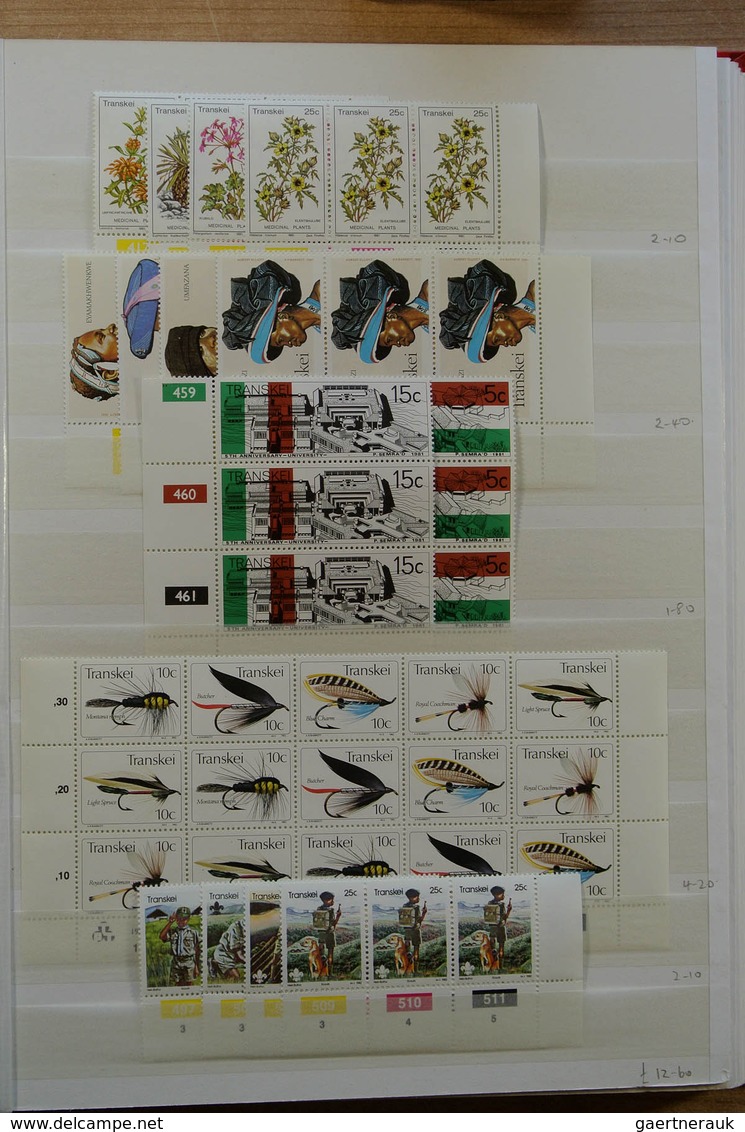 24134 Südafrika: Stockbook with MNH material of the homelands (Bophuthatswana, Ciskei, Transkei and Venda)